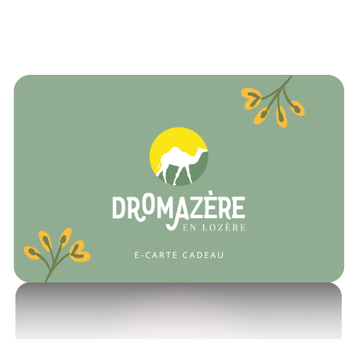 E-carte cadeau (boutique en ligne uniquement)