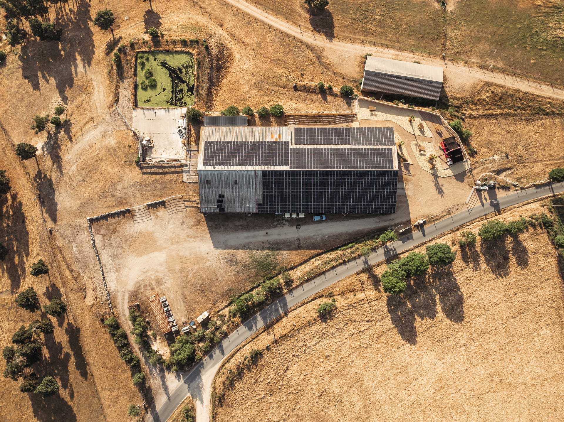 La ferme au dromadaire en Lozère