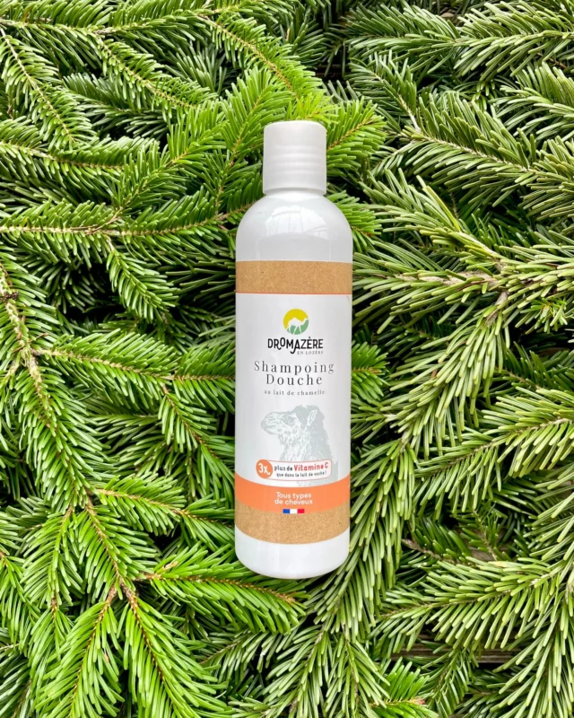 Prenez soin de votre peau grâce à notre Shampoing-Douche tout doux ! 🫧

Formulé à base du lait frais de nos chamelles, il est adapté à la peau et aux cheveux de toute la famille 🥛 Hypoallergénique et naturellement hydratant, le lait de chamelle laisse la peau et le cuir chevelu apaisés, protégés et les cheveux brillants. 

🌼 Son petit plus ? Sa teneur en acides gras essentiels et en vitamines apaise les irritations et les inflammations de la peau.

#Chamelle #Dromadaire #savonartisanal #cosmetiquesnaturels #laitdechamelle  #elevagededromadaires #Cosmetique  #Madeinfrance #Suddefrance #lozere  #lozerenaturellement #laitfraisfermier #cremevisage #savonaulaitdechamelle  #margeride_en_gevaudan #boutiqueenligne #soinduvisagenaturel #cosmetiquehypoallergenique #Geldouche #shampoingsolide #Occitanie #Cevennes #Parcnatureldescevennes #Gevaudan #Soindelapeau #Savonsolide  #Chamelles #Elevage #Agriculture #chameau